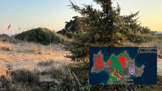 Πάρος: Εκτενής αποχαρακτηρισμός δασικών εκτάσεων – Τι καταγγέλλει ο σύλλογος Κεδρυάδες