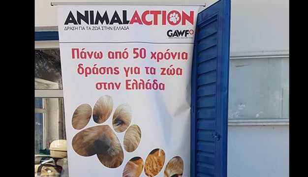 Ξεκίνησε η δράση στείρωσης αδέσποτων ζώων