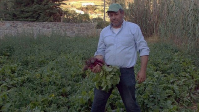 Σύρος: Ο μηχανικός που έγινε αγρότης, η άδεια οικοτεχνείας, το γλυκό κάππαρη και η μαρμελάδα πιπεριά